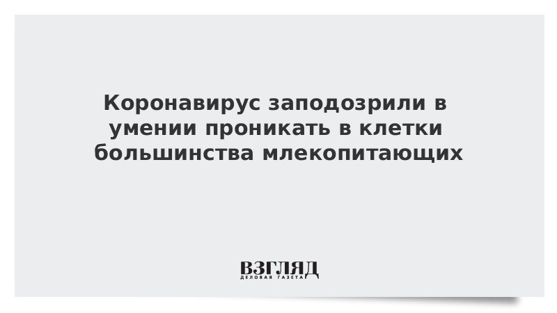 Коронавирус заподозрили в умении проникать в клетки большинства млекопитающих