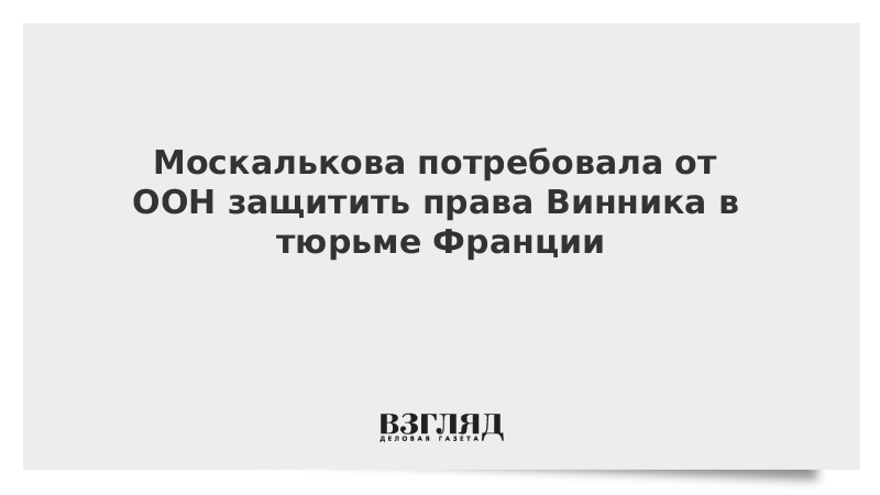 Москалькова потребовала от ООН защитить права Винника в тюрьме Франции