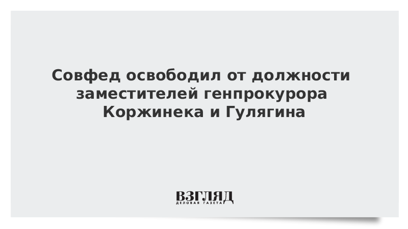 Совфед освободил от должности заместителей генпрокурора Коржинека и Гулягина