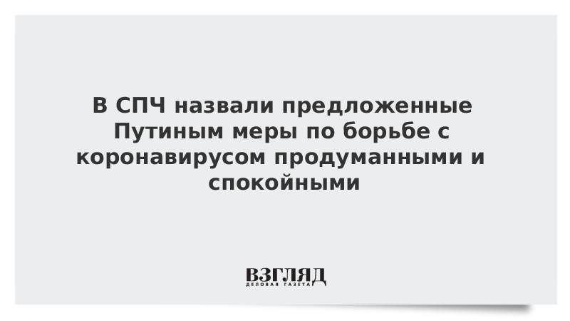 В СПЧ назвали предложенные Путиным меры по борьбе с коронавирусом продуманными и спокойными