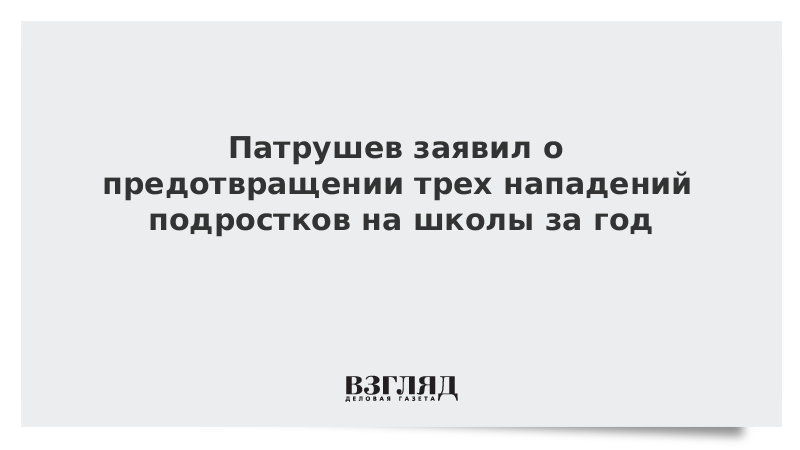 Патрушев заявил о предотвращении трех нападений подростков на школы за год