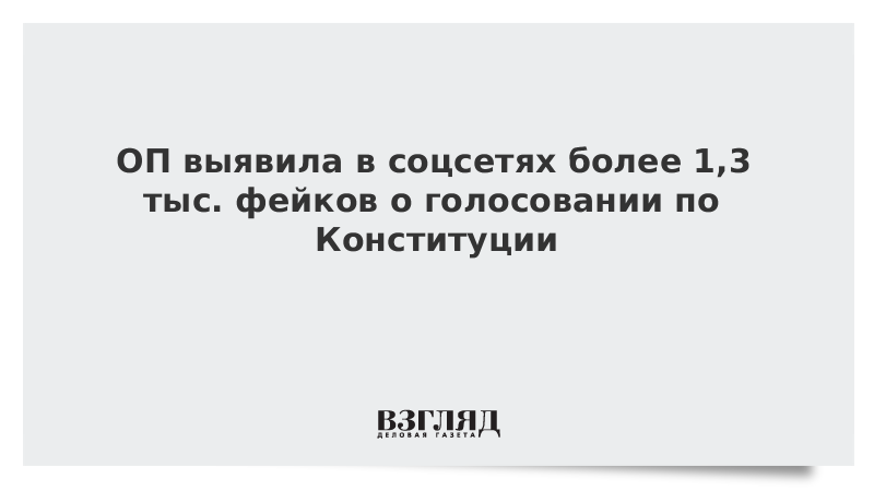 ОП выявила в соцсетях более 1,3 тыс. фейков о голосовании по Конституции