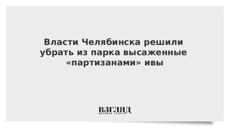 Власти Челябинска решили убрать из парка высаженные «партизанами» ивы