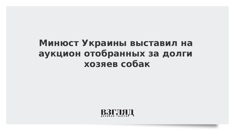 Минюст Украины выставил на аукцион собак, отобранных у хозяев за долги