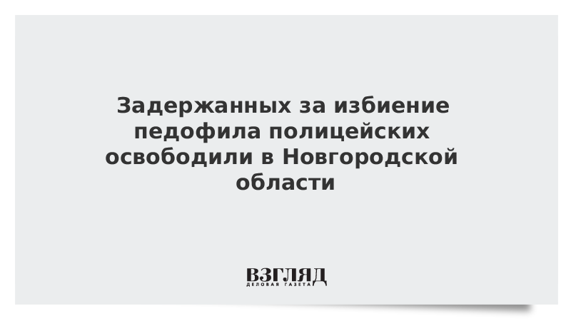 Задержанных за избиение педофила полицейских освободили в Новгородской области