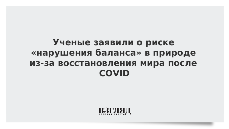 Ученые заявили о риске «нарушения баланса» в природе из-за восстановления мира после COVID