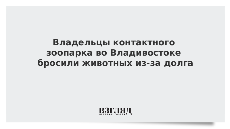 Владельцы контактного зоопарка во Владивостоке бросили животных из-за долга