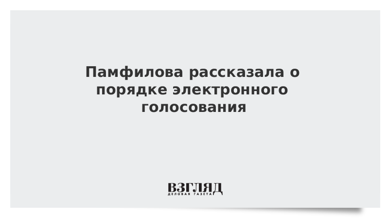 Памфилова рассказала о порядке электронного голосования по Конституции