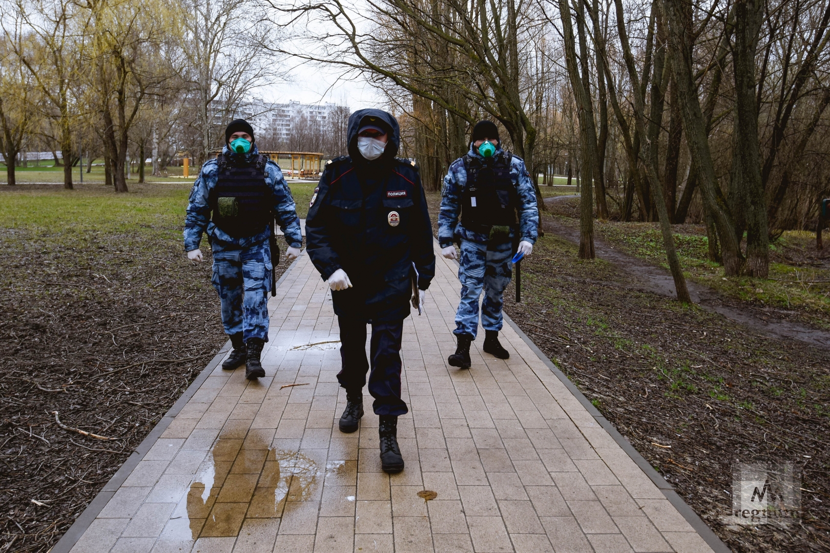 Оцеплять и вскрывать: полиция получает экстренные права под COVID-19?