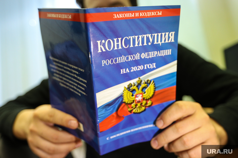 В Госдуме объяснили роль поправок в Конституцию в условиях кризиса и пандемии COVID-19