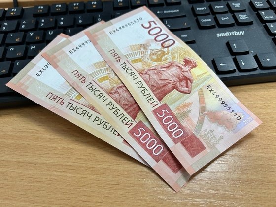 В Немском районе хозяйку собаки заставили заплатить укушенному ребёнку