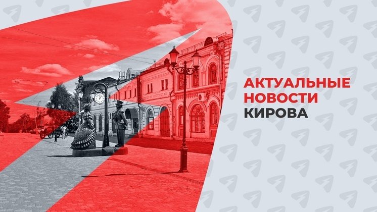 В Кирове пройдёт акция по сбору помощи для бездомных животных