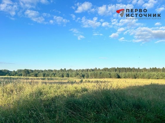 Вторник в Кирове будет тёплым, но ветреным