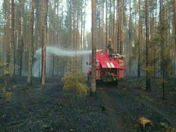 Четыре техногенных пожара и пять выездов на ДТП. МЧС публикует отчёт за 18 августа