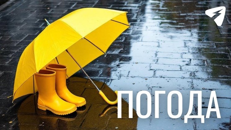 В Кировской области пройдут небольшие дожди
