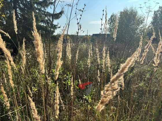 Хорошая погода порадует кировчан ещё пару дней