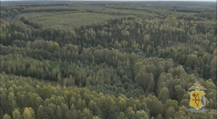 Пенсионера-грибника нашли в юрьянском лесу с помощью дрона