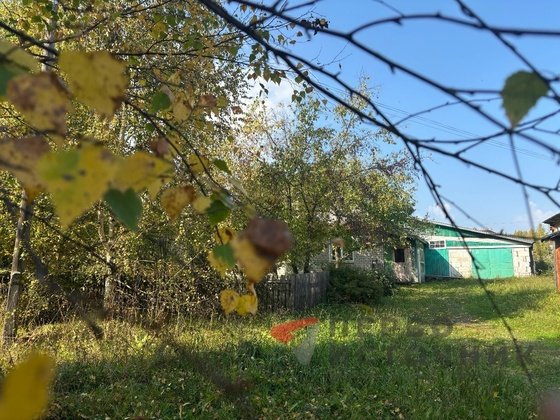 Никита Гусятник: что можно и нельзя делать 28 сентября по народным поверьям
